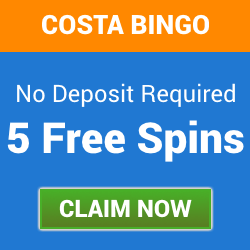online bingo free bonus no deposit required