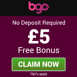 bingo 5 free no deposit