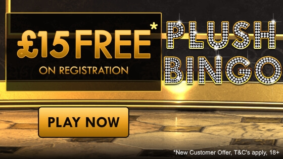 free online bingo bonus no deposit